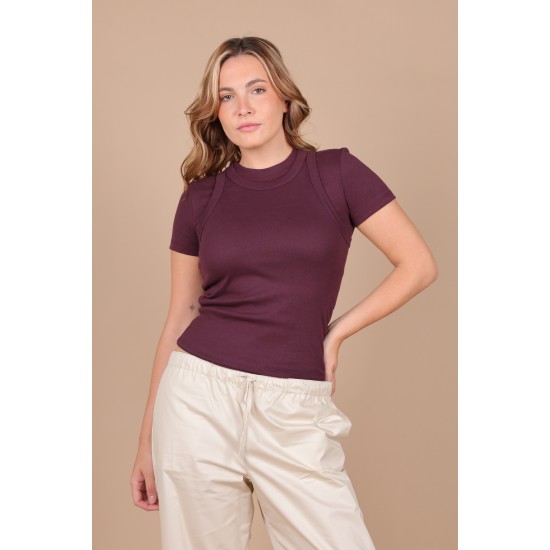 FITONIA Musculosa-B550