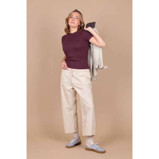 FITONIA Musculosa-B550